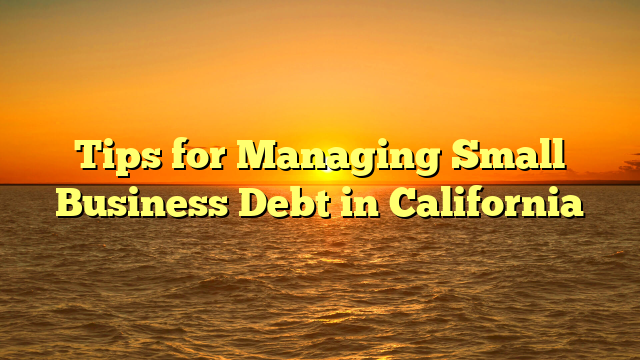 Tips for Managing Small Business Debt in California